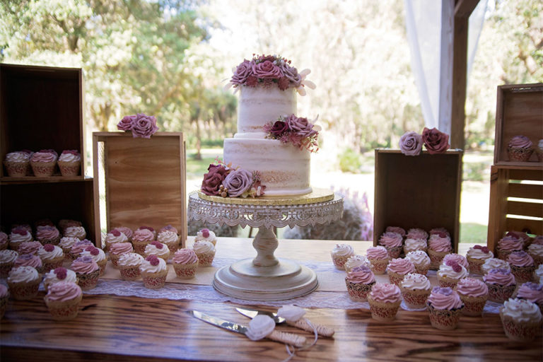 cake and cupcakes with pink roses at an outdoor wedding in Arcadia, FL