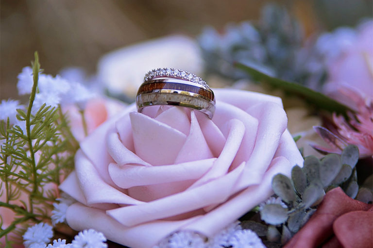 wedding rings placed on a pink rose