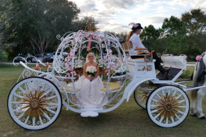 Fairytale Carriage Wedding