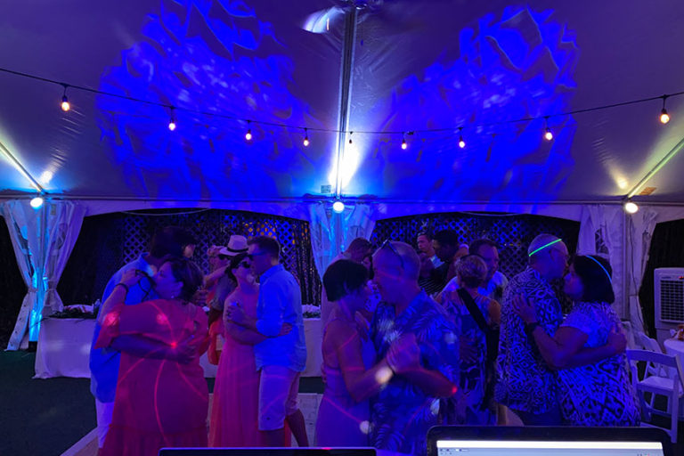 Palm Island Wedding DJ - Crowd dancing at a reception